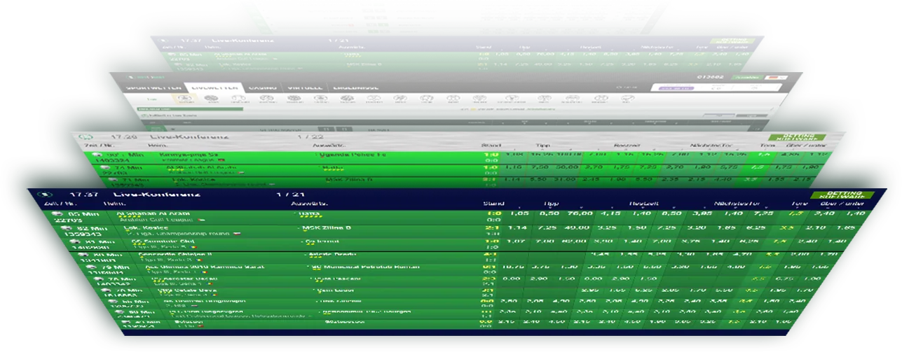 Betomat Software Interface